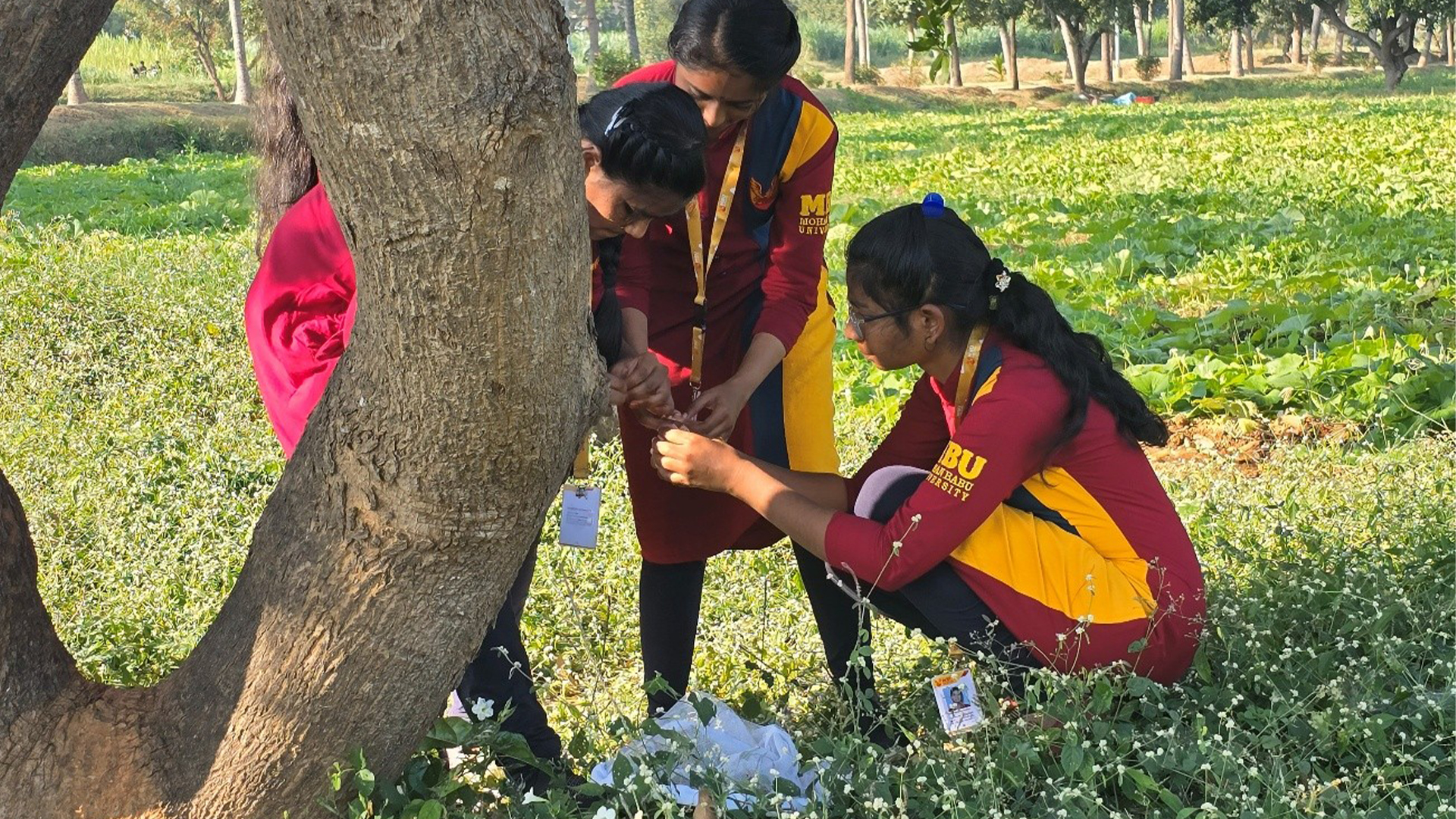 Strengthening Agricultural Knowledge with Practical Exposure